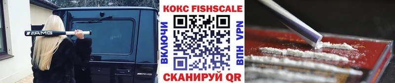 Cocaine Эквадор  наркошоп  Алатырь 