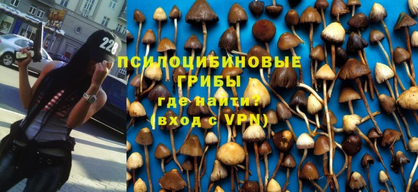 дурь Абинск