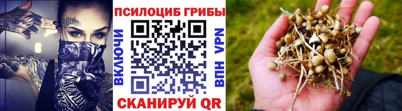 darknet какой сайт  Алатырь  Псилоцибиновые грибы GOLDEN TEACHER 